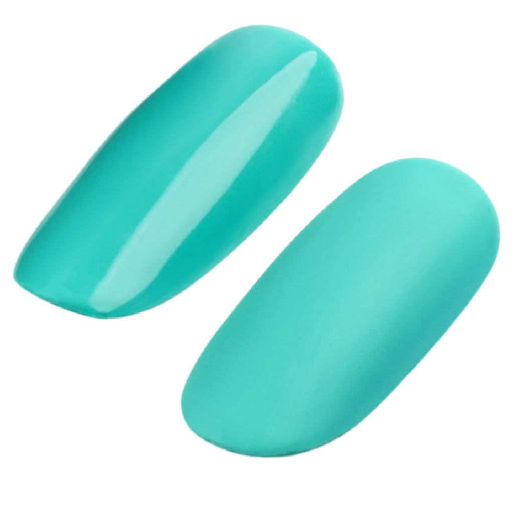 GEL POLISH #173