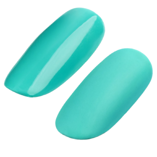 GEL POLISH #173