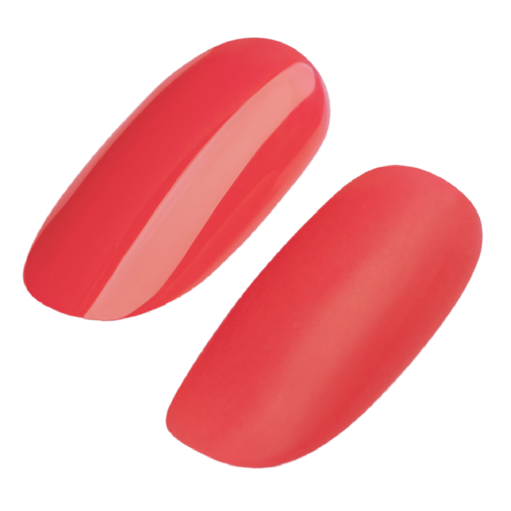 GEL POLISH #213