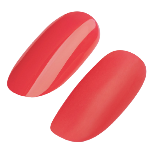 GEL POLISH #213